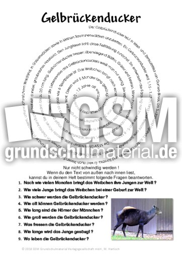 Gelbrückenducker.pdf